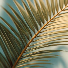 Close-Up of Lush Green Palm Leaf with Subtle Light and Shadows