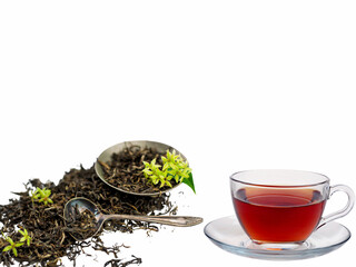 Glass Cup of Black Tea with Dried Leaves and Fresh Green Flowers 