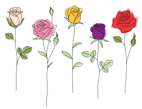Set of decorative color rose with leaves. Hand drawn flowers. Vector stock illustration.