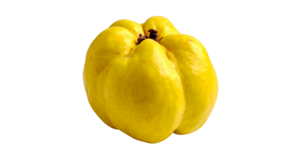 A fresh, ripe yellow bell pepper, a sweet and healthy fruit, isolated on white