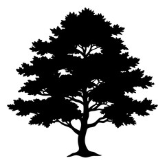 set of trees