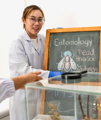 Asian female entomologist presenting and lecture fly entomology class on blackboard