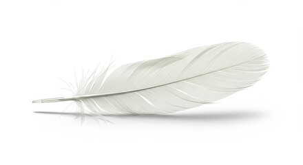 Obraz premium A single, white feather, subtly curved, is centered on a white background, casting a soft shadow.