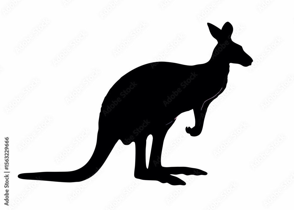 Poster silhouette of a kangaroo standing upright with its tail extended on a white background plain style c