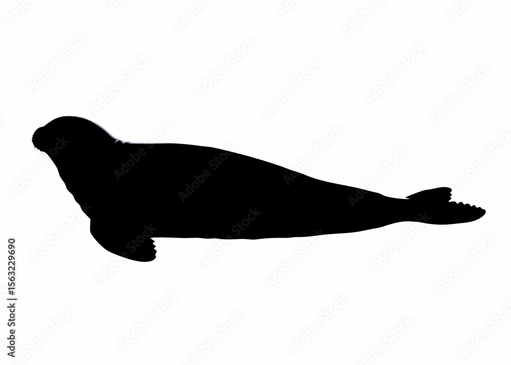 Poster silhouette of a seal resting on a white background with its flippers visible and head turned slightl