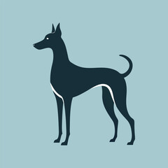 Hunting dog. Cut out silhouette of a Pointer, Labrador, or Foxhound