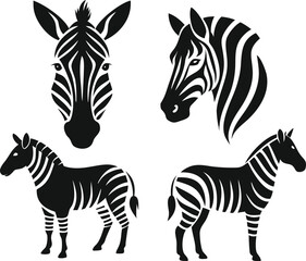 zebra vector illustration
