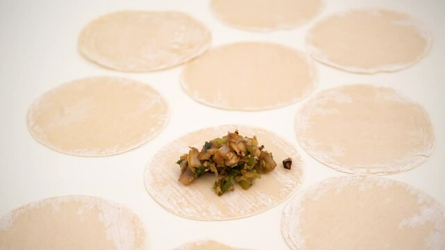 Dumpling F&uuml;llung