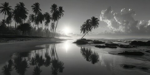 Breathtaking black and white beach landscape with palm trees and sunrise reflections at the shore during twilight hours