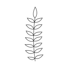 Hand drawn floral design. Tall stem with orderly oval-shaped leaves. Simple botanical design element in linear doodle style. Vector 10 EPS.