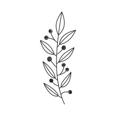 Doodle laurel branch. Hand drawn floral design. Simple botanical design element in linear style. Vector 10 EPS.