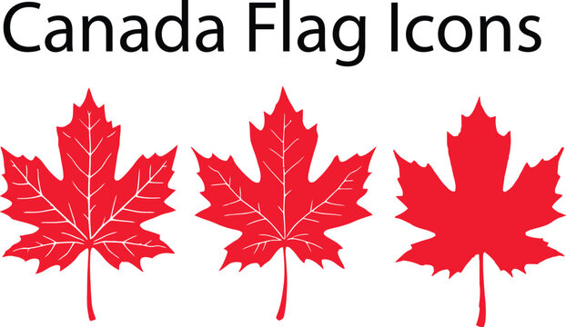 Canada flag icon set featuring three stylized red maple leaves in horizontal layout representing national pride and patriotic symbolism