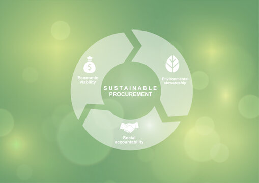 Sustainable procurement infographic template. Green circular diagram with three pillars including economic viability, environmental stewardship and social accountability. Vector illustration