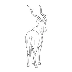 Stylized Addax Vector Art - Contemporary Addax Lineart for Digital Trends - Modern Addax Icon - Abstract Vector Lineart of Addax for Creative Use

