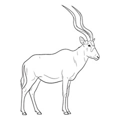 Thoughtful Addax Vector Profile - Detailed Addax Lineart for Book Covers - Contemplative Addax Icon - Serene Vector Lineart of Addax for Concepts

