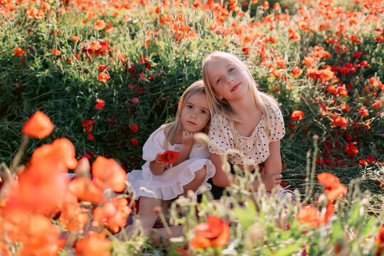 Sisters on plaid in a blooming poppy field, sunny summer day
