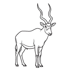 Authentic Saharan Addax Vector - True To Life Addax Lineart for Infographics - Accurate Addax Icon - Educational Vector Lineart of Addax Material

