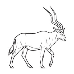 Charming Addax Vector Illustration - Engaging Addax Lineart for UI UX - Delightful Addax Icon - Inviting Vector Lineart of Addax for Layouts

