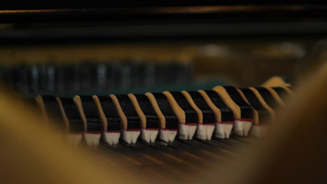 close up of the dampers in a grand piano moving up and down the strings as the instrument is played, the internal structure of a keyboard mechanical musical instrument, the hammers hitting the strings