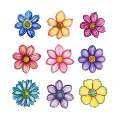 Hand-Drawn Colorful Flower Set - Artistic Floral Collection with Transparent Background