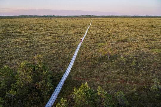 Aerial view from a drone of two people walking along a long, straight wooden boardwalk through a vast green bog at sunset. - Powered by Adobe