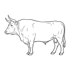 Explore a Majestic Ox Vector Graphic - with detailed Ox Lineart for print media - a classic Ox Icon - presenting compelling Vector Lineart of Ox.

