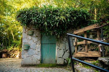 Fototapeta na wymiar Charming stone building with green door and foliage.