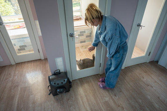 Woman owner rests on glass door of cat hotel room, says goodbye to lonely pet, temporarily leaving in care facility. Emotional farewell, trust in pet accommodations for safe, comfortable stay