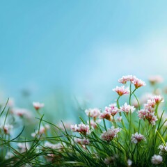 Delicate Pink Flowers Blooming Under Soft Blue Sky with Green Grass