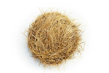 Round dry haystack isolated