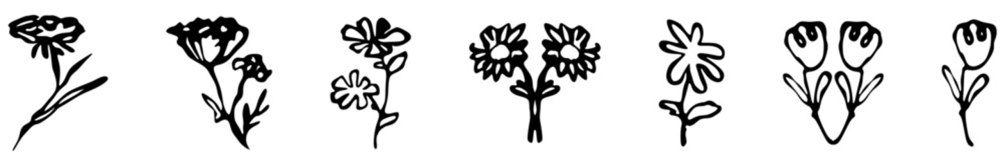 Ink marker gouache flowers hand drawn sketches botanical illustrations. Dry brush stroke simple minimalistic plants vector illustration