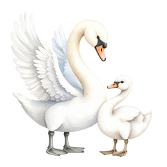 Obraz premium Elegant Swan Family Portrait: A heartwarming portrayal of a majestic swan alongside its adorable cygnet, radiating tenderness and familial love.