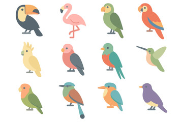 Colorful bird collection vector illustration: flat style design for nature and wildlife enthusiasts