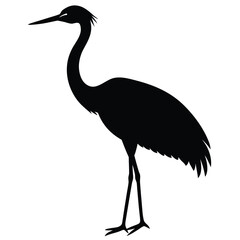 Fototapeta premium Elegant black silhouette of a standing crane white bird