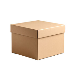 Plain Brown Cardboard Package Box Without Icons or Writing – Raw Style, Minimalist Eco-Friendly Packaging Concept