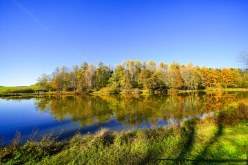 Landscape at the Gerolstein reservoir in autumn. Idyllic nature at the lake in the Eifel region.
