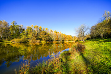 Landscape at the Gerolstein reservoir in autumn. Idyllic nature at the lake in the Eifel region.
