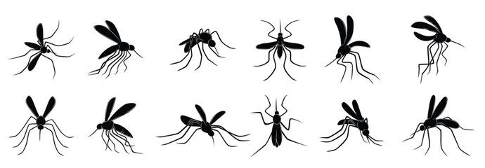 mosquito flying insects carriers viruses bloodsuckers vector drawn mosquitos © Walia