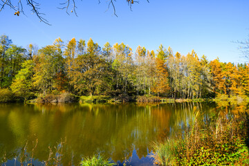 Landscape at the Gerolstein reservoir in autumn. Idyllic nature at the lake in the Eifel region.
