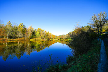 Landscape at the Gerolstein reservoir in autumn. Idyllic nature at the lake in the Eifel region.
