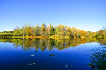 Landscape at the Gerolstein reservoir in autumn. Idyllic nature at the lake in the Eifel region.
