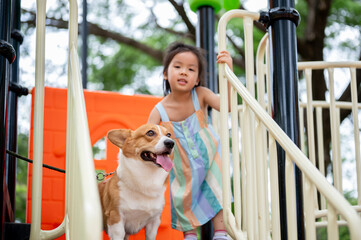 Asian girl with puppy standing holding railing of colorful climbing slide in the park's playground.