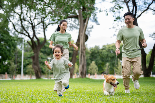Smiling dad holding a leash on corgi puppy while walking running with mom and son on grass in park.