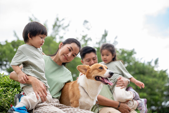 Smiling mom holding son and dad with daughter looking at corgi puppy while sitting on bench in park.
