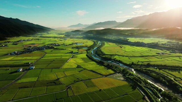 Aerial view of Beautiful rice fields at sunrise, Chihshang Township, Taiwan