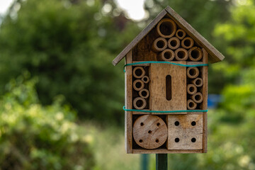 Wooden house for insects in the garden, nature conservation insect nests in a wooden house