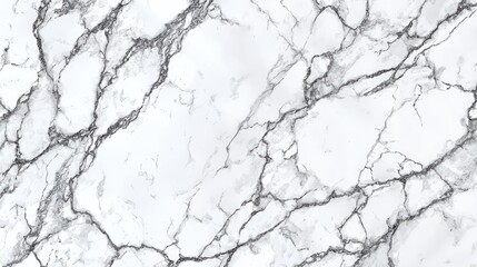 Fototapeta premium Veined Marble: A close-up shot of a striking slab of veined marble, showcasing its intricate patterns and subtle textures. The image highlights the elegance and timeless appeal of natural stone. 