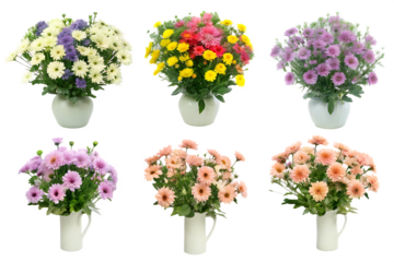  colorful flower arrangements isolated on white background PNG ,ai generated