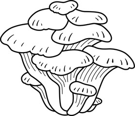 ヒラタケのアイコン