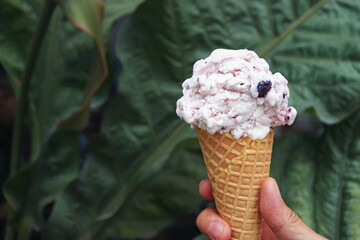 Mouthwatering Blueberry Yogurt Ice Cream Cone in Hand